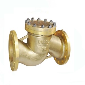 lift check valve