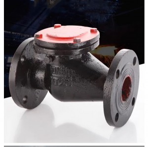 Swing check valve with cast iron body and copper core