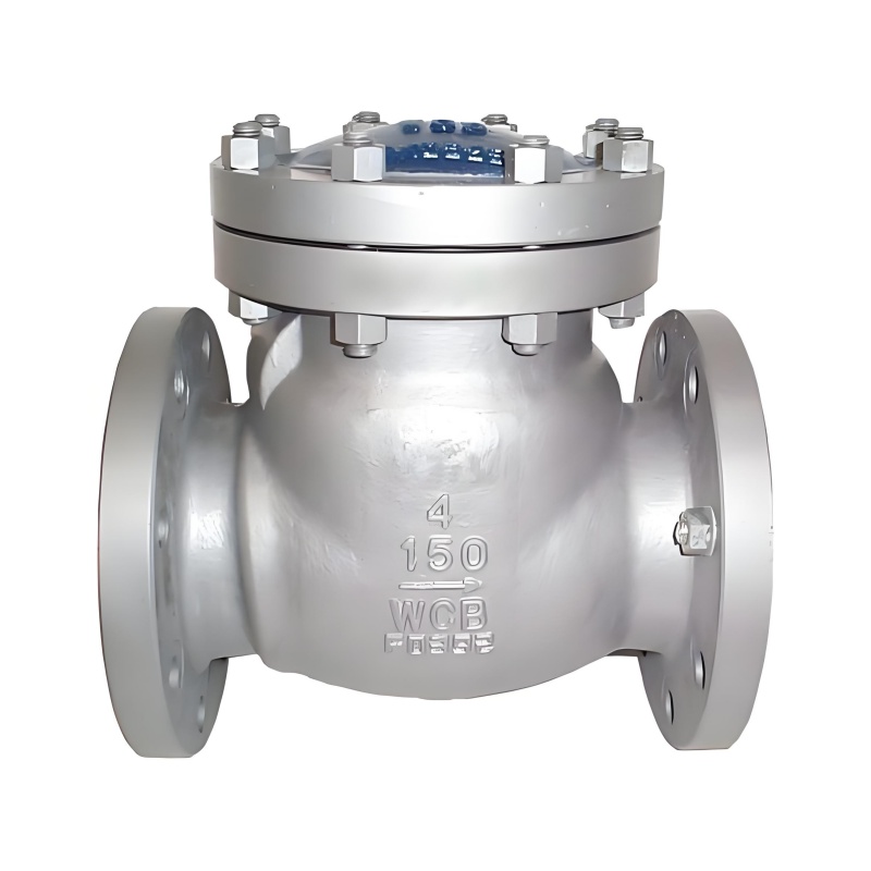 Cryogenic Check Valves