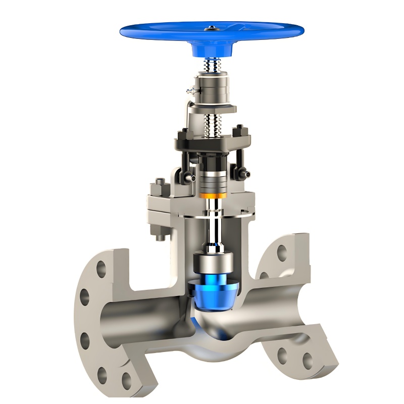 Details of Globe Valves