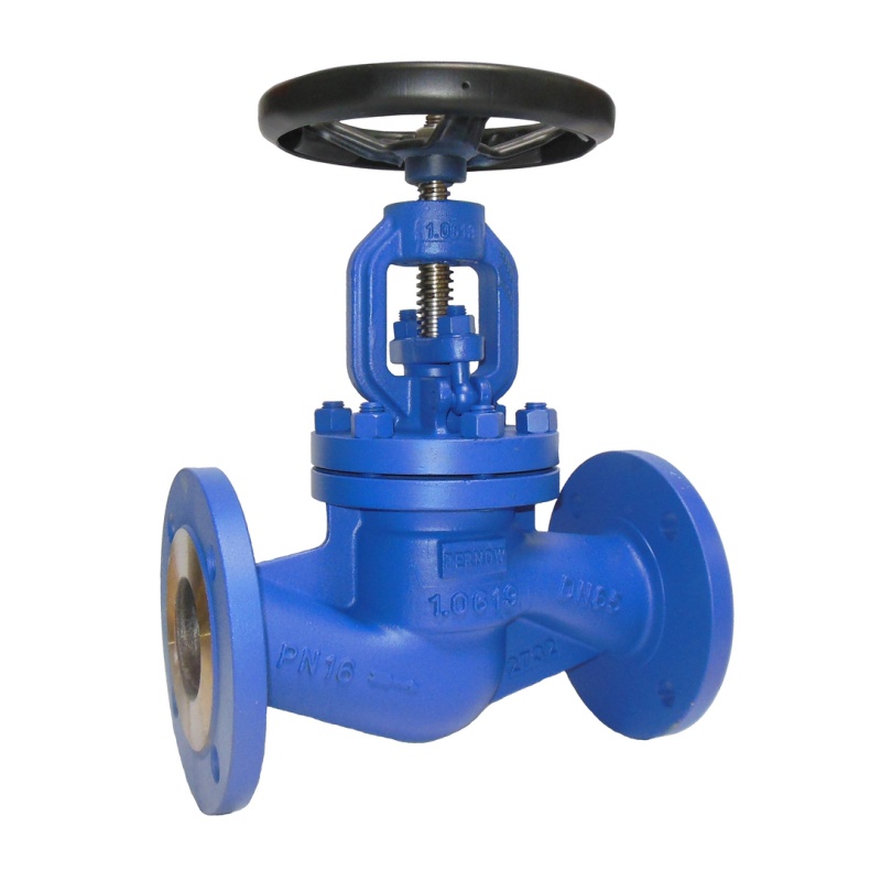 Globe Valve