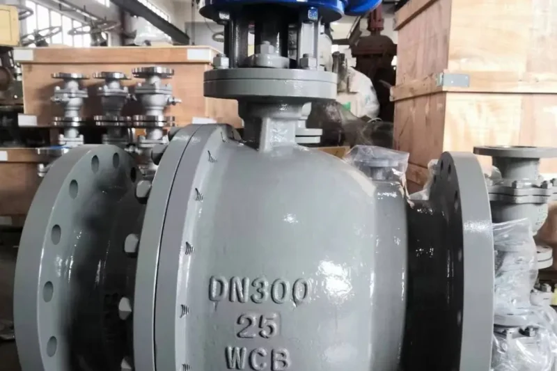 Carbon Steel Trunnion Mounted Ball Valve Selection