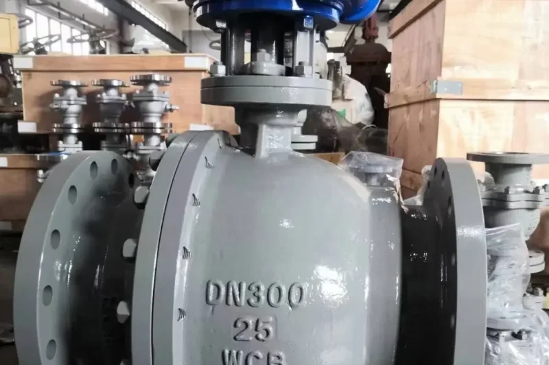 Carbon Steel Trunnion Mounted Ball Valve Selection